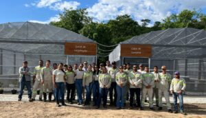 Implantação do viveiro de mudas de espécies nativas