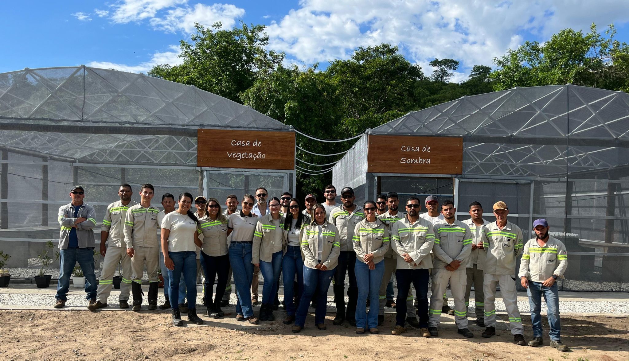 Implantação do viveiro de mudas de espécies nativas