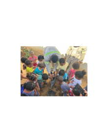 Dia da Árvore: juntos por um futuro equilibrado